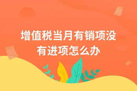 增值税当月有销项没有进项怎么办