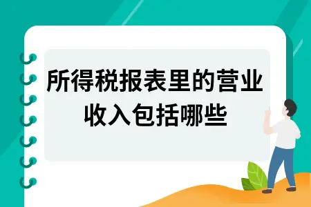 所得税报表里的营业收入包括哪些 所得税报表里的营业收入包括哪些