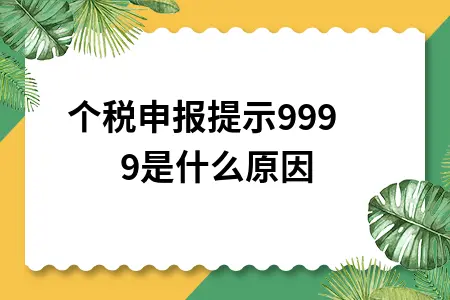 个税申报提示9999是什么原因 个税申报提示9999是什么原因