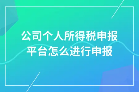 公司个人所得税申报平台怎么进行申报