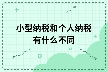 小型纳税和个人纳税有什么不同