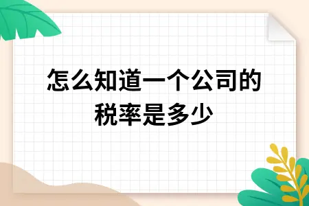 怎么知道一个公司的税率是多少