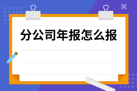 分公司年报怎么报