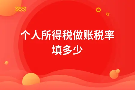 个人所得税做账税率填多少 个人所得税做账税率填多少
