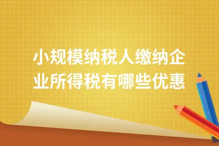 小规模纳税人缴纳企业所得税有哪些优惠