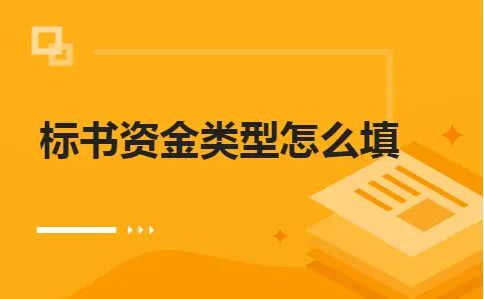 标书资金类型怎么填