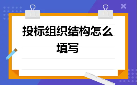 投标组织结构填写指南：如何根据公司类型填写标书信息
