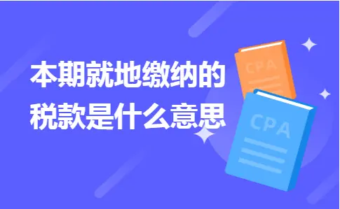 就地缴纳的税款含义解析及常见税费类型说明