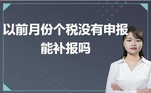 以前月份个税没有申报 能补报吗 以前月份个税没有申报 能补报吗