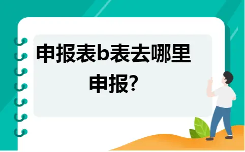 申报表b表去哪里申报