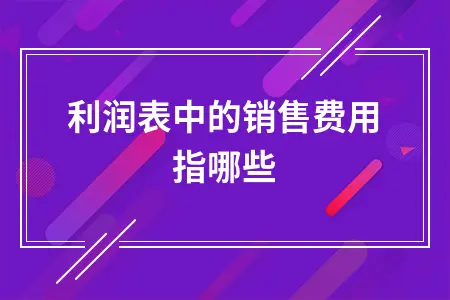 利润表中的销售费用指哪些