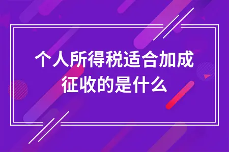 个人所得税适合加成征收的是什么