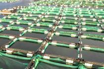 行政处罚决定合法性争议分析：事实认定与时效适用问题