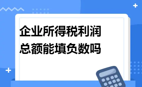 企业所得税利润总额能填负数吗 企业所得税利润总额能填负数吗