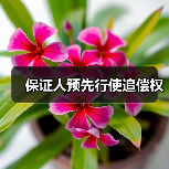 保证人预先行使追偿权（图2）