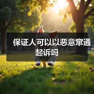 保证人可以以恶意窜通起诉吗（图4）