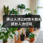 保证人诉讼时效不能向债务人追偿吗（图3）