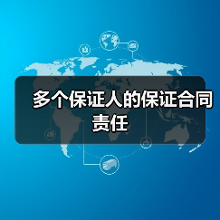 多个保证人的保证合同责任（图1）