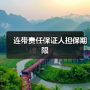 连带责任保证人担保期限（图4）