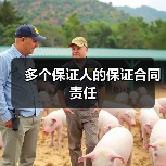 多个保证人的保证合同责任（图2）