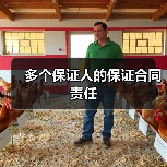 多个保证人的保证合同责任（图3）