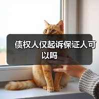 债权人仅起诉保证人可以吗（图4）