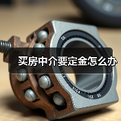 买房中介要定金怎么办(图3) 买房中介要定金怎么办(图3)
