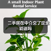二手房在中介交了定金能退吗(图3) 二手房在中介交了定金能退吗(图3)