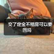 交了定金不租房可以要回吗(图3) 交了定金不租房可以要回吗(图3)