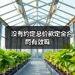 没有约定总价款定金合同有效吗(图4) 没有约定总价款定金合同有效吗(图4)