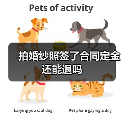 拍婚纱照签了合同定金还能退吗(图2) 拍婚纱照签了合同定金还能退吗(图2)