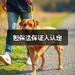 担保法保证人认定（图3）