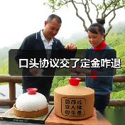 口头协议交了定金咋退（图4）