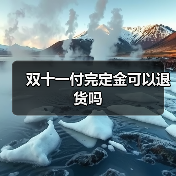 双十一付完定金可以退货吗(图2) 双十一付完定金可以退货吗(图2)