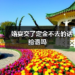 婚宴交了定金不去的话给退吗(图3) 婚宴交了定金不去的话给退吗(图3)