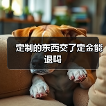 定制的东西交了定金能退吗(图2) 定制的东西交了定金能退吗(图2)
