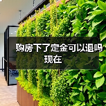 购房下了定金可以退吗现在(图4) 购房下了定金可以退吗现在(图4)