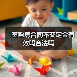签购房合同不交定金有效吗合法吗(图4) 签购房合同不交定金有效吗合法吗(图4)