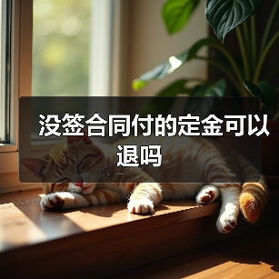 没签合同付的定金可以退吗(图3) 没签合同付的定金可以退吗(图3)