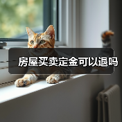 房屋买卖定金可以退吗(图1) 房屋买卖定金可以退吗(图1)
