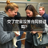 交了定金没签合同能退吗?（图3）