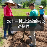 双十一付过定金的可以退款吗（图2）