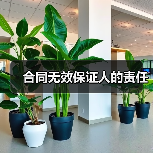 合同无效保证人的责任（图3）
