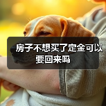 房子不想买了定金可以要回来吗（图3）