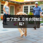 交了定金,没签合同能退吗?(图4) 交了定金,没签合同能退吗?(图4)