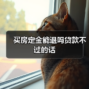买房定金能退吗贷款不过的话(图2) 买房定金能退吗贷款不过的话(图2)