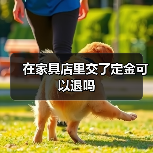 在家具店里交了定金可以退吗(图1) 在家具店里交了定金可以退吗(图1)