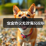 定金协议无效情况说明(图1) 定金协议无效情况说明(图1)