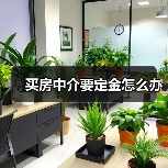 买房中介要定金怎么办（图3）