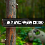 定金的法律规定有哪些(图2) 定金的法律规定有哪些(图2)
